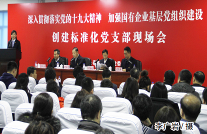 nangong28·(中国区)官方网站